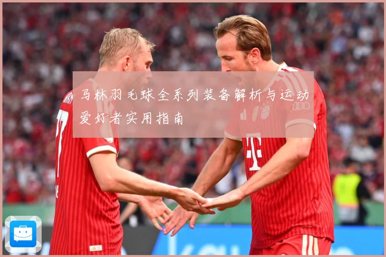 马林羽毛球全系列装备解析与运动爱好者实用指南